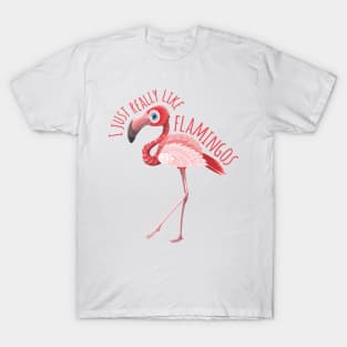 I Just Really like Flamingos - v1.1 T-Shirt